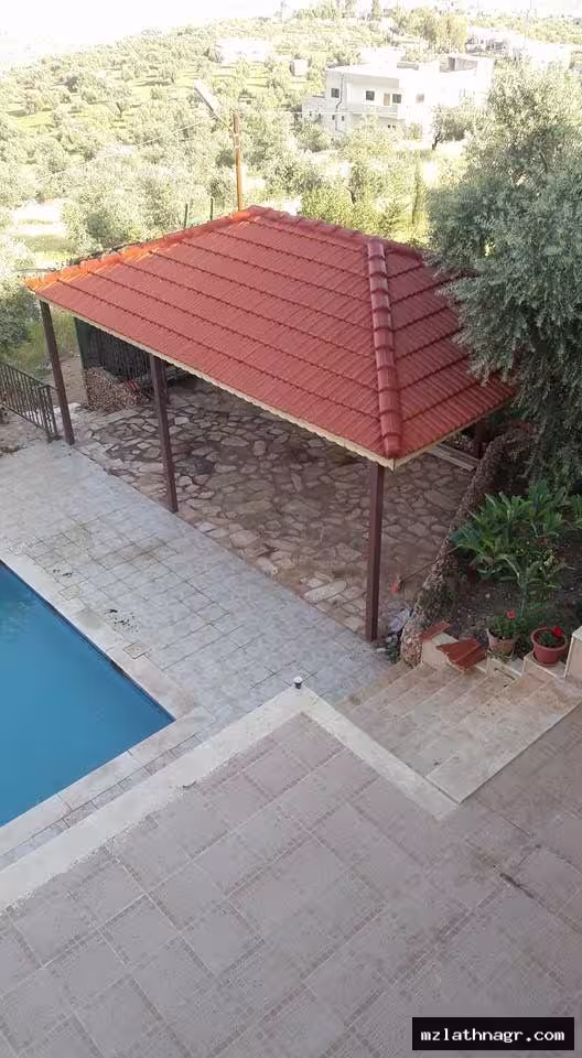 صورة المقال