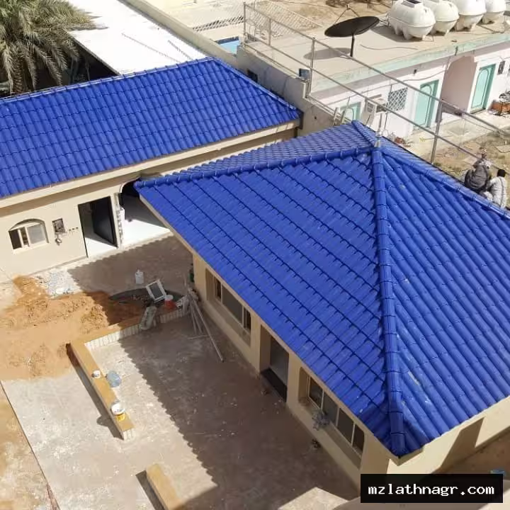 صورة المقال