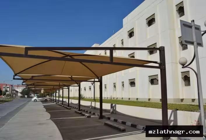 صورة المقال