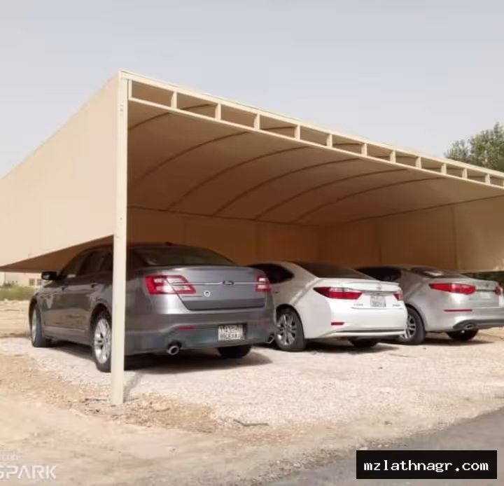 صورة المقال