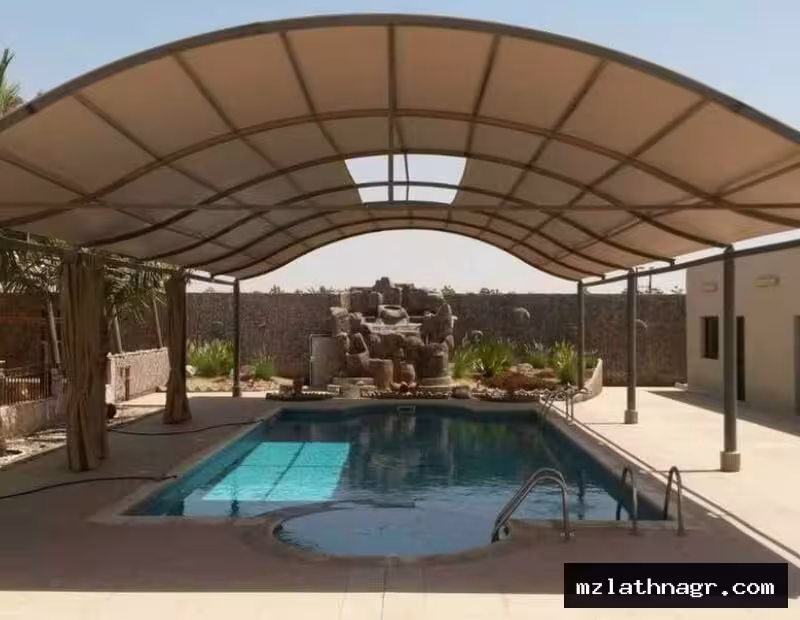 صورة المقال